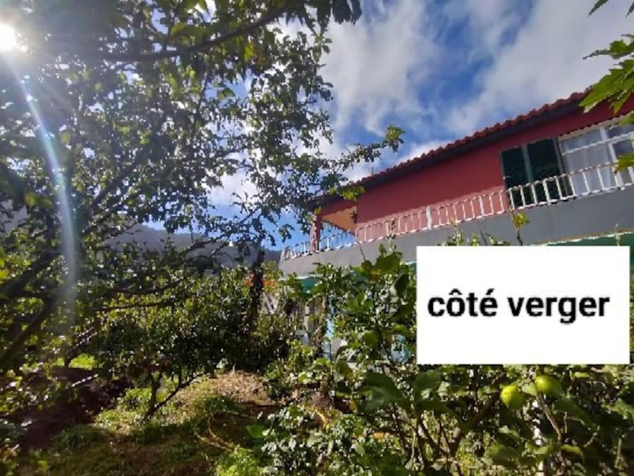 Sea Mountain House Villa Machico  Luaran gambar