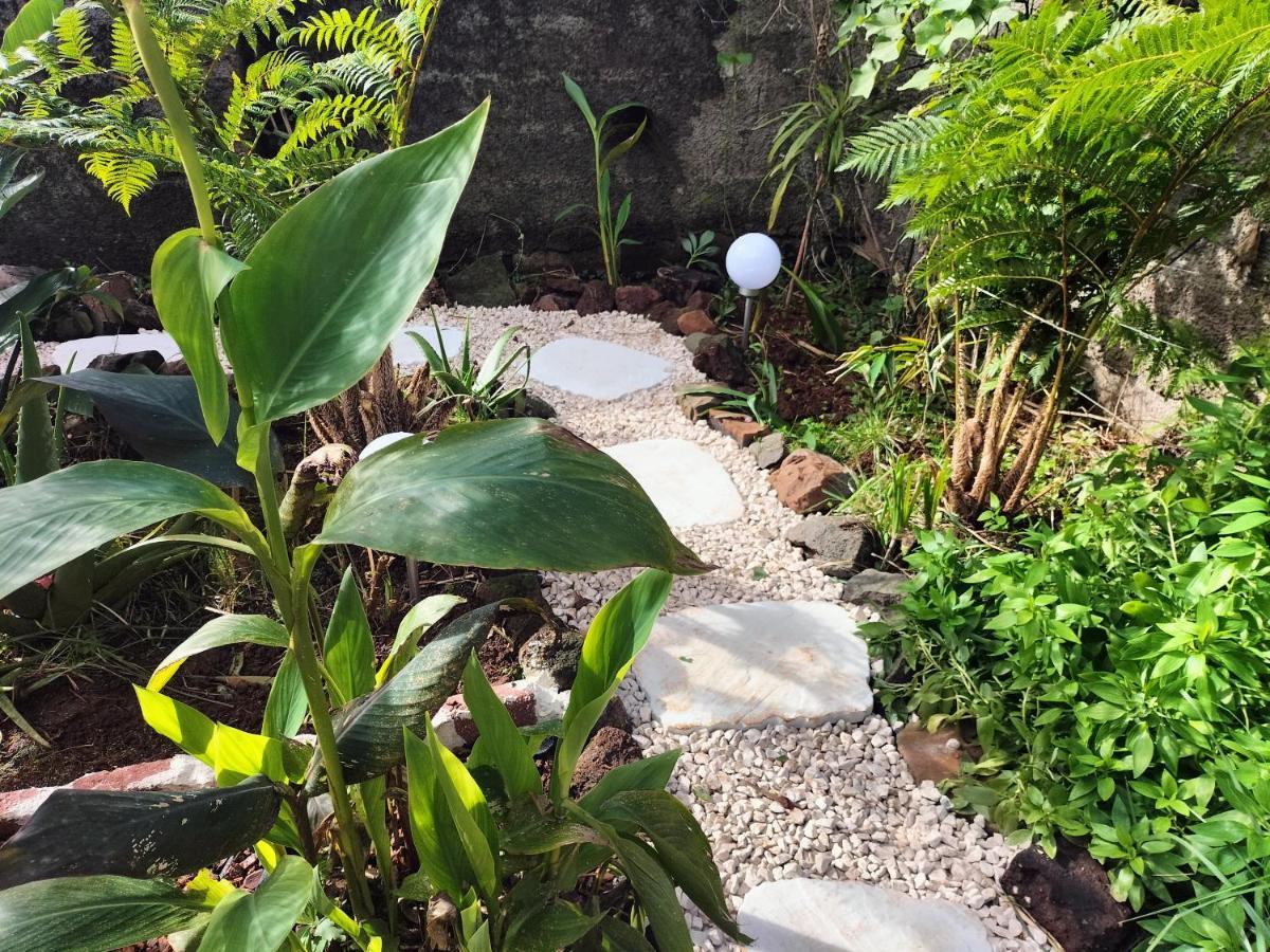 Sea Mountain House Villa Machico  Luaran gambar
