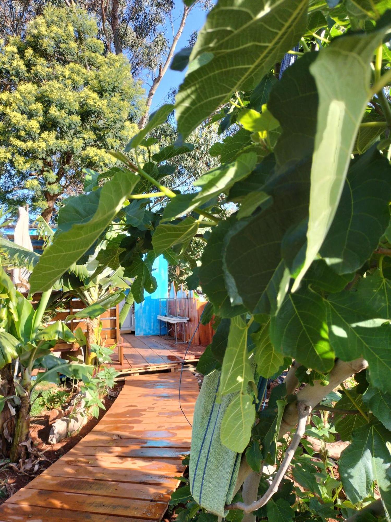Sea Mountain House Villa Machico  Luaran gambar